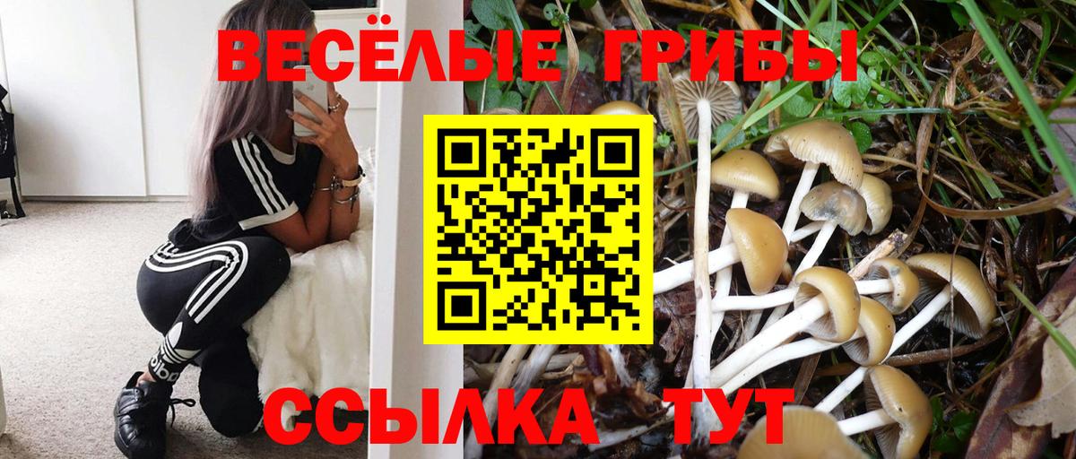 Ростов Великий  Галлюциногенные грибы Psilocybe  Вход с VPN 